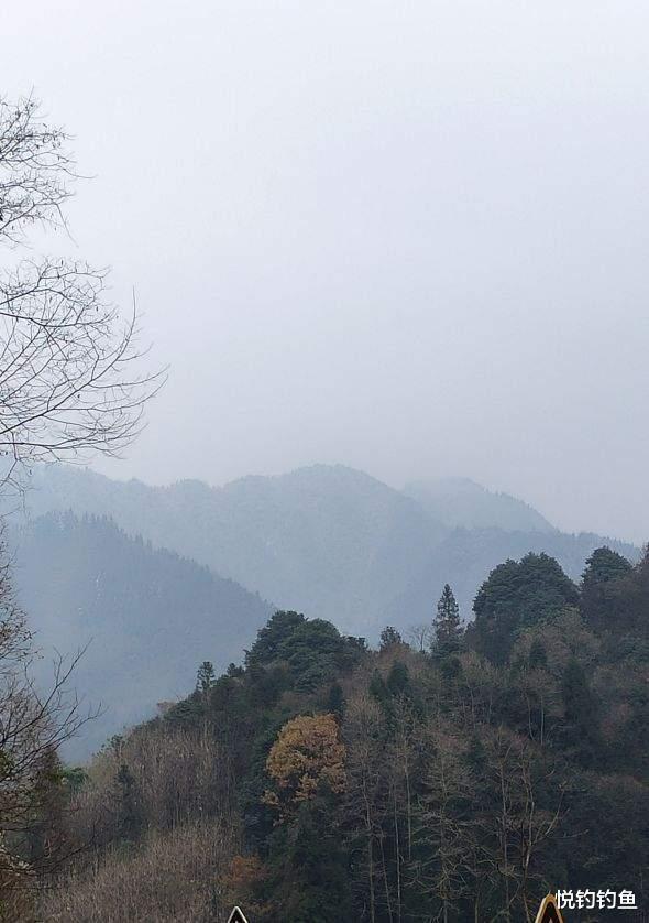 医生|当年的钓点早已无鱼可钓,但鱼就在水中,真正的垂钓者都能看见