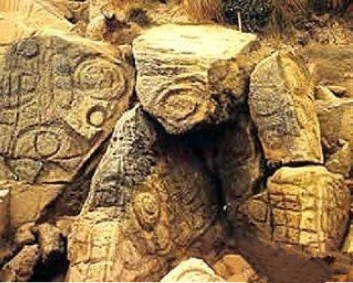 微生物 神秘螺旋图案包含什么意思