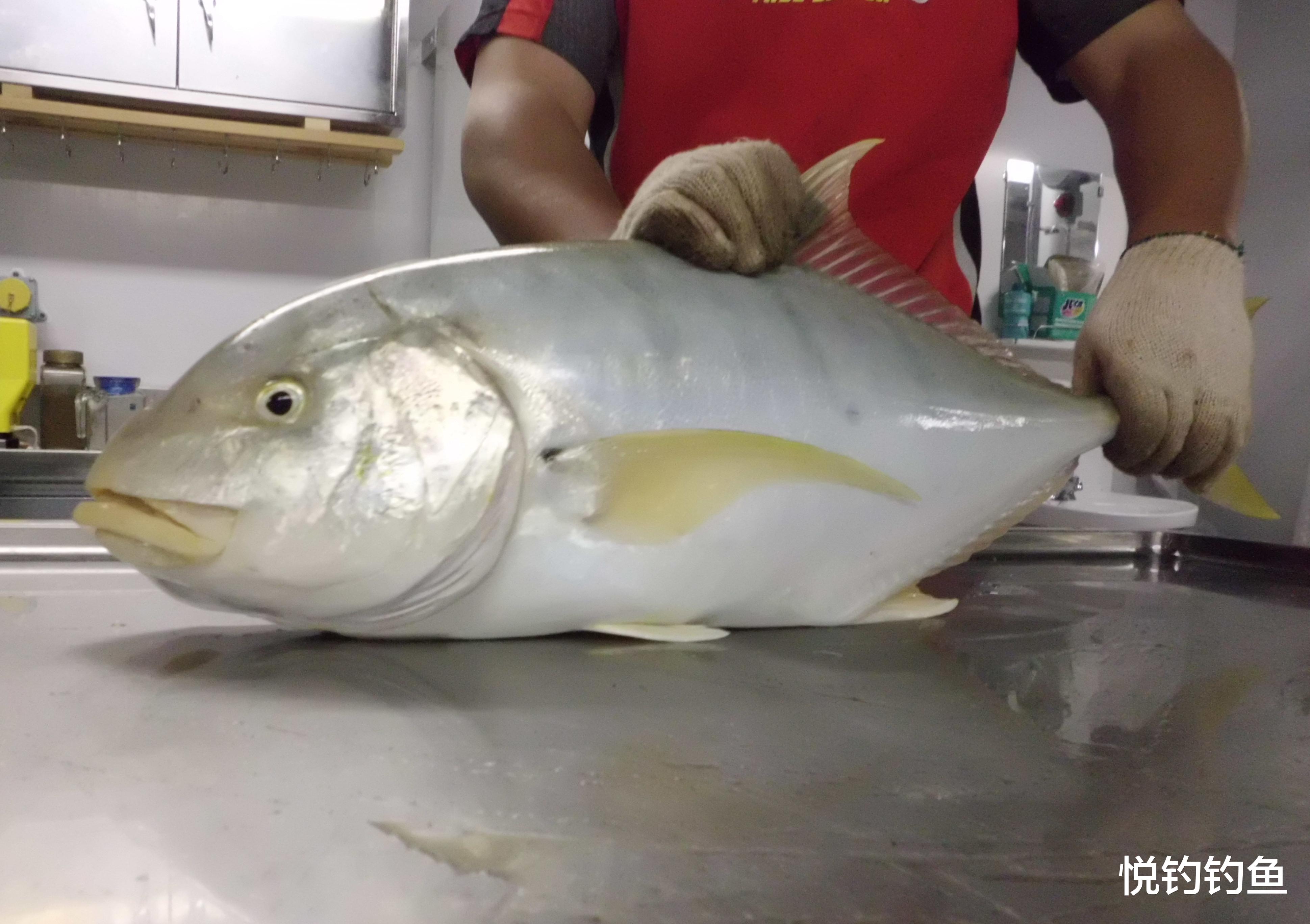 |海员在异国他乡，凭栏垂钓，有鱼没鱼都是一种寄托~