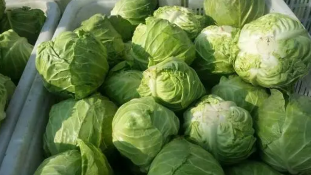 铠甲护士|这6种食物或是幽门螺杆菌的“小敌人”，平时建议常吃，不妨看看