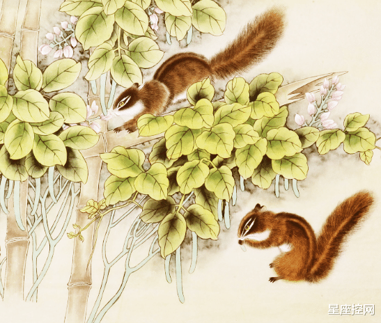 星座控网|跟什么生肖结婚，是件幸福的事？懂得珍惜眼前人，白头偕老又富裕