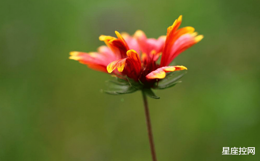 刮目相看|哪几天出生的人,很少为钱烦恼,日子平安喜乐,从小到老都是如此
