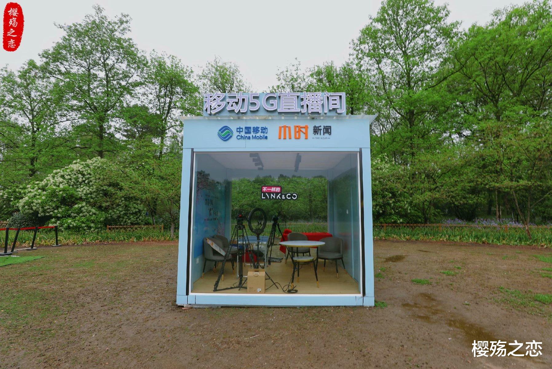 杭州 杭州最早的婚庆公园,一到春天就美得不像话,成功晋升为网红景点