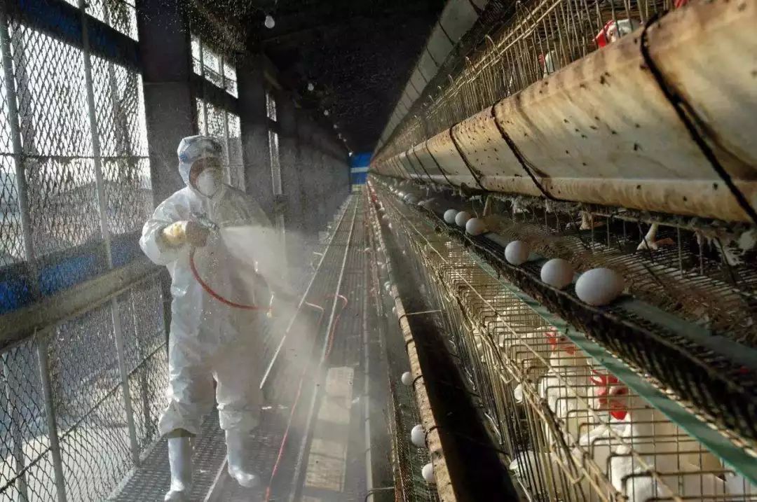 韩国|值得警惕：中国两个邻国警戒都升至最高级，英法德意印皆未能幸免