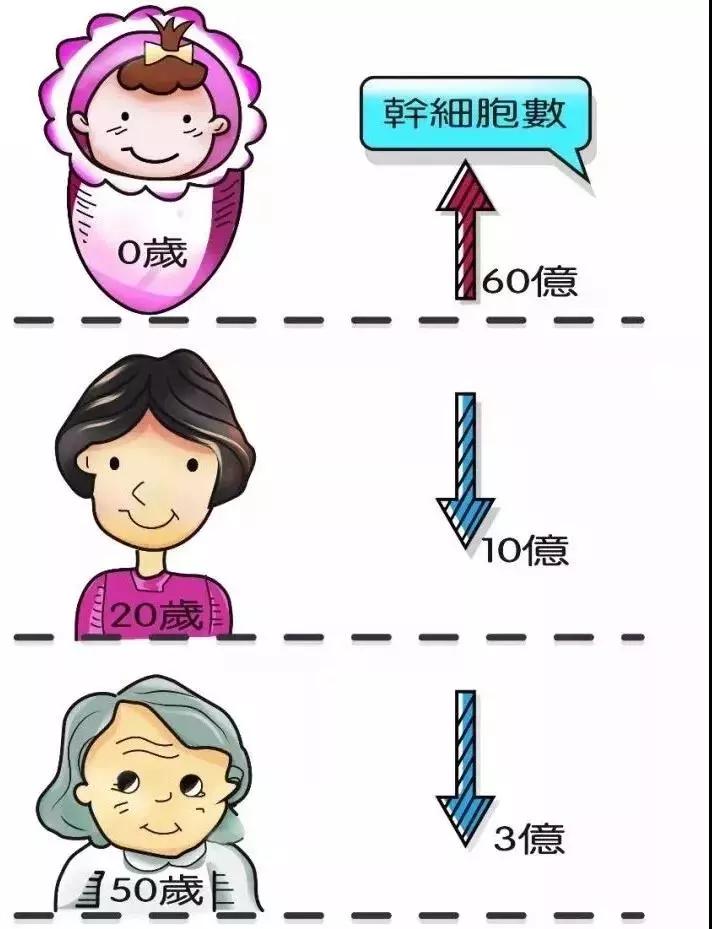 杭吉干细胞科技|人体各大器官“保质期”分别为多久? 一文带你了解器官衰老时间表