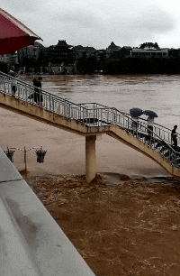 大城小乐故事 女生千万别在大风天穿裙子，很容易原形毕露的，长点心吧！哈哈哈哈