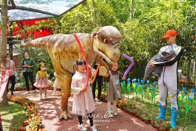 stdolly 上海又添一新去处，表演精彩拍照绝佳，了解上海的历史文化