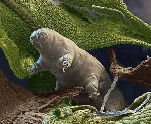  “外星人”真的存在？科学家发布：这4个证据或可“证明”