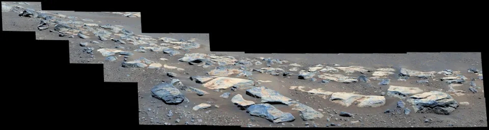国家药品监督管理局 第一块火星岩石揭示了这颗行星曾经可能适合居住