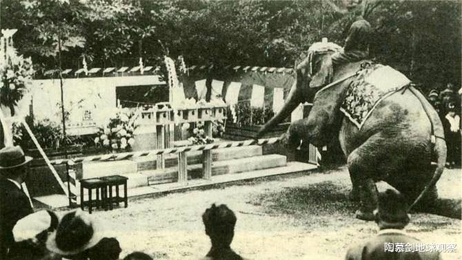 二戰末期，日本屠殺全國動物園，隻有兩頭大象在名古屋被偷偷保住-圖3