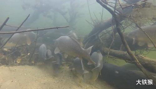 |教你做一个“永久鱼窝”，只要别人不知道，连竿上鱼的永远是你