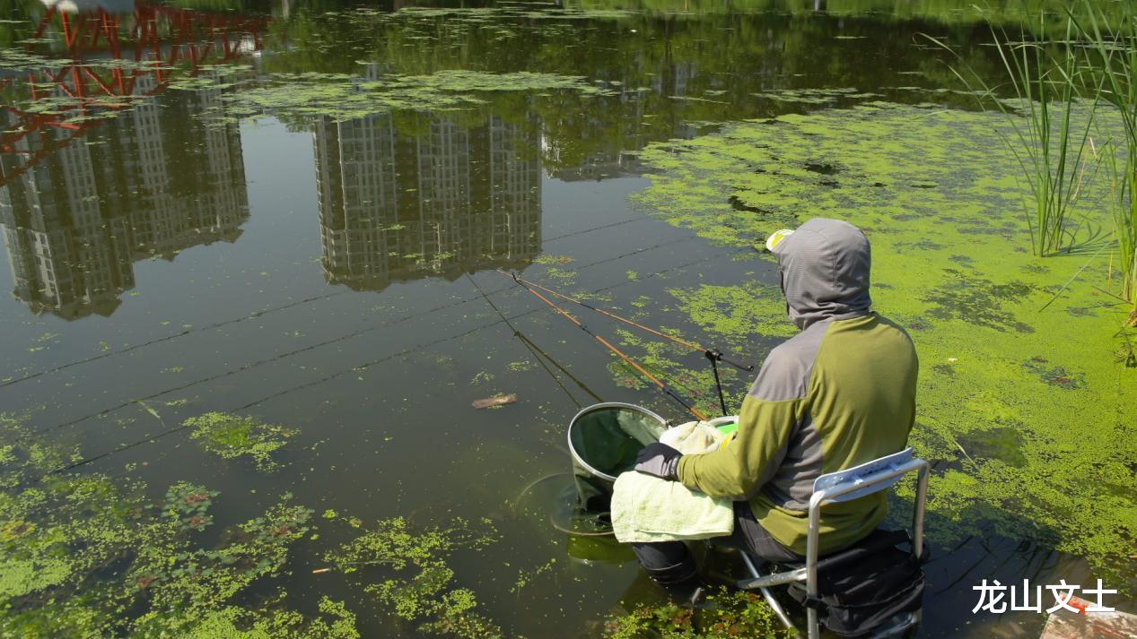 |隔河两岸，双杆对钓