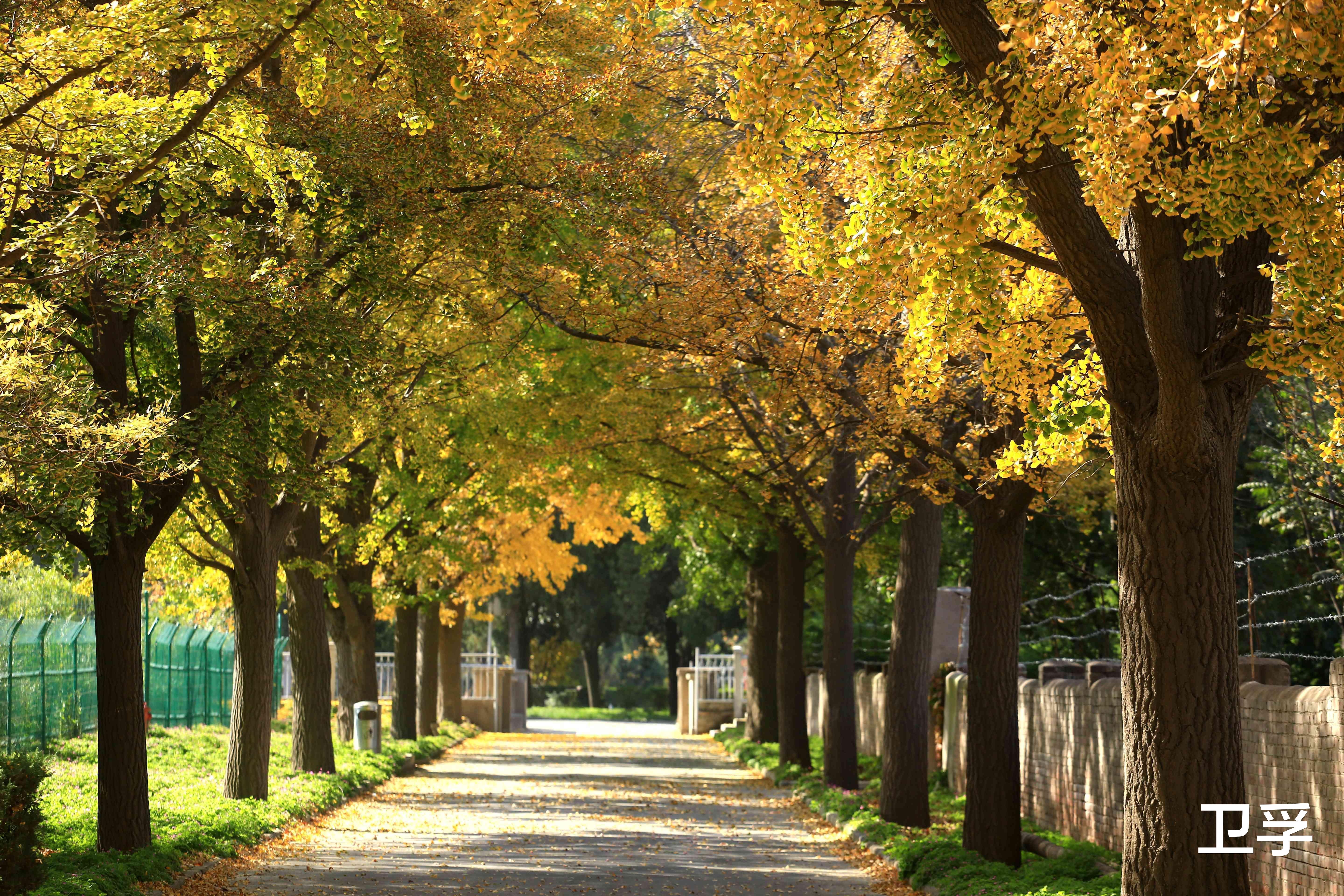 秋分|秋分|丰收节，你的谷物收纳做好没？