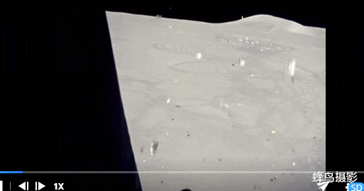 海豹 44张活久未见的照片，驴居然叼着一只狼，大白鲨撞飞海豹跃出水面捕食