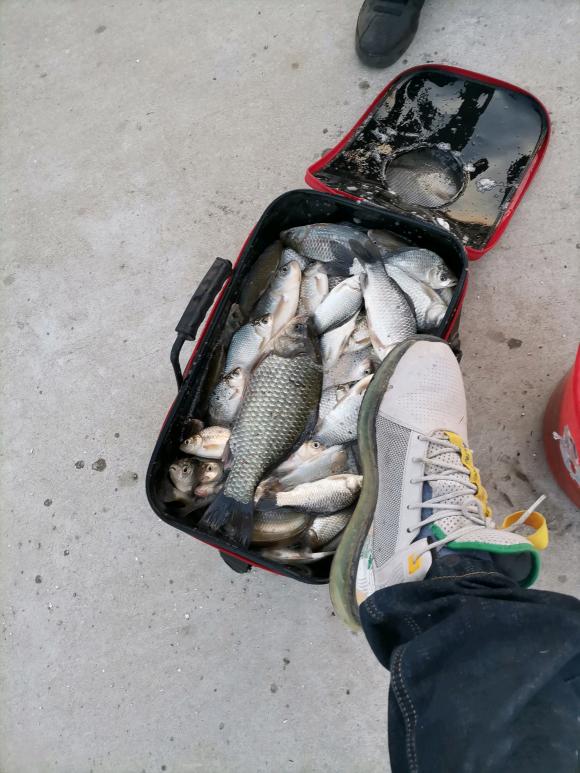 |野钓不要扎堆，一个人更容易爆护，攻略和技巧分享