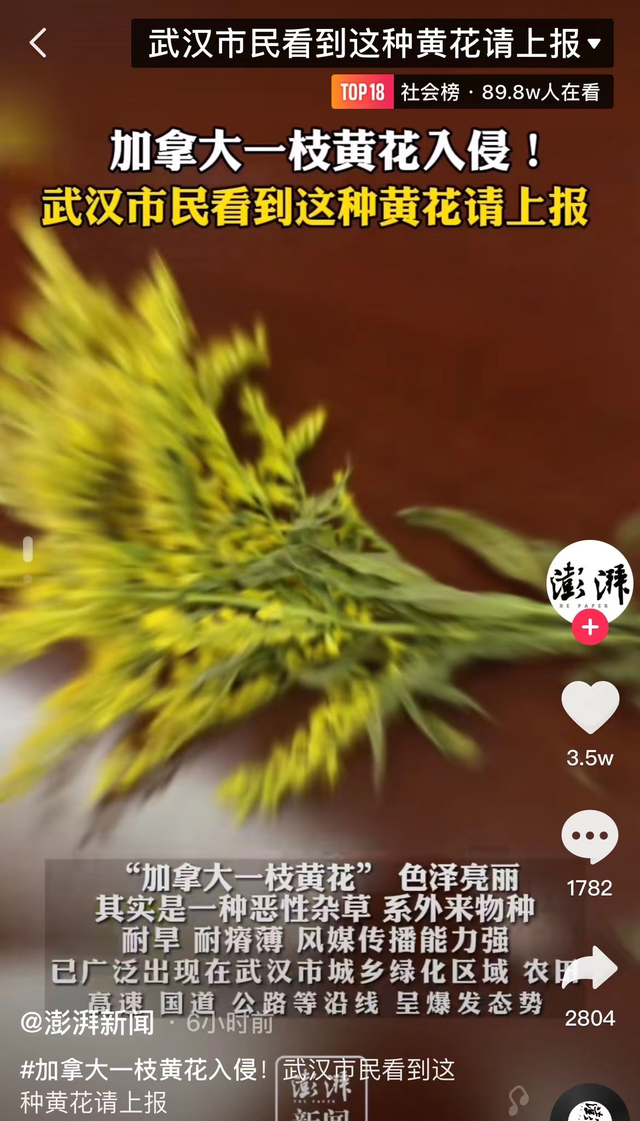 敲骨入髓!武汉“斩草除根令”来袭,“恶魔之花”是何物?有多毒