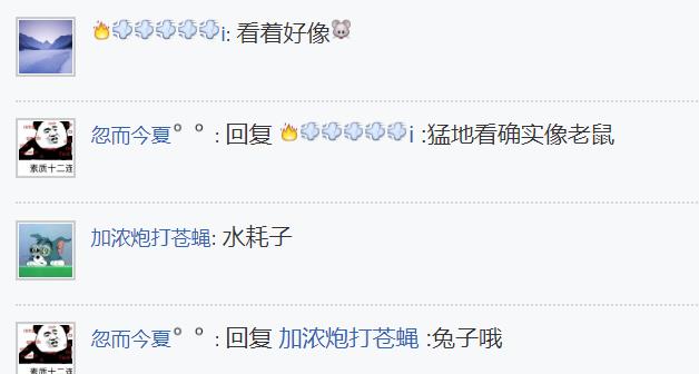 饵料|这是个啥?广西钓鱼人从水库里钓起一只“小兽”,老鼠还是兔子?