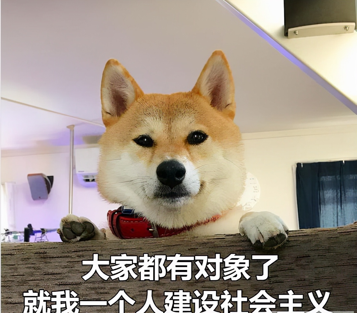 |女朋友最喜欢什么职业的男生？程序员最吃香！这几种职业注孤生？