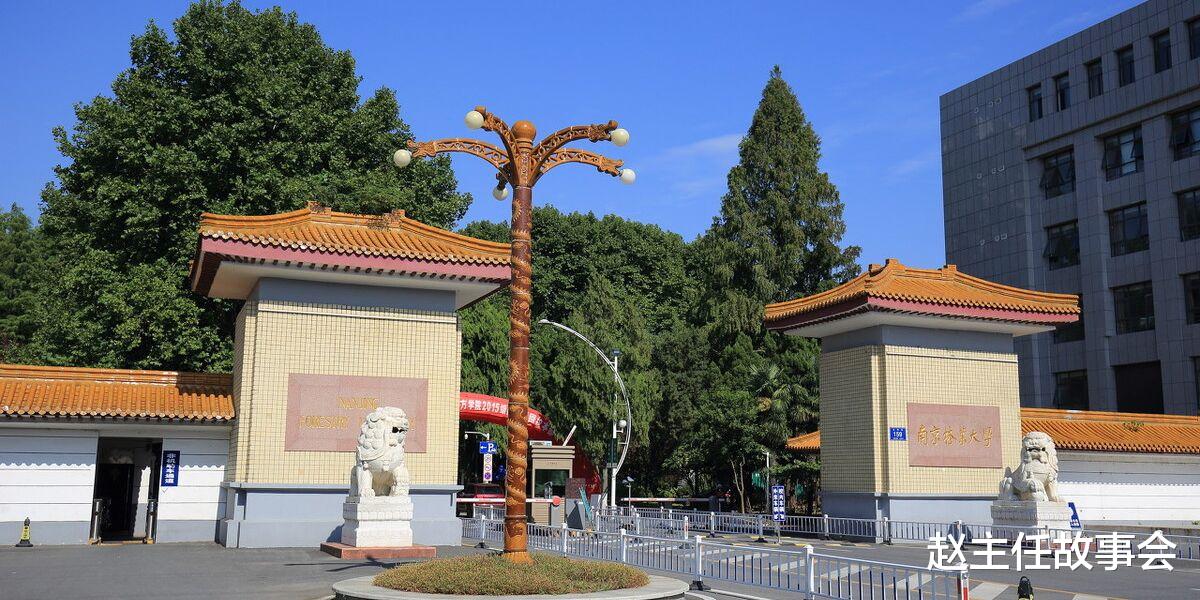 赵主任故事会|真实故事:高干子女和小镇公务员