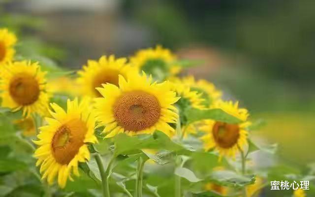 蜜桃心理|心理学:如何正确表达自己内心感受,才能让男人乖乖听话