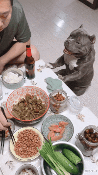 蜈蚣 神回复：为什么蜈蚣毒性很大，却对公鸡毫无作用呢？