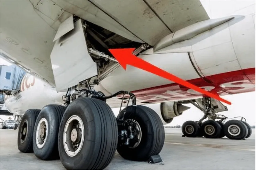 探奇怪|阿富汗政府沦陷后，当地平民纷纷聚集机场，10余人“扒上飞机”结果如何？