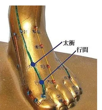 穴位|药有药性,穴有穴性。42条穴位纯干货,太实用了!