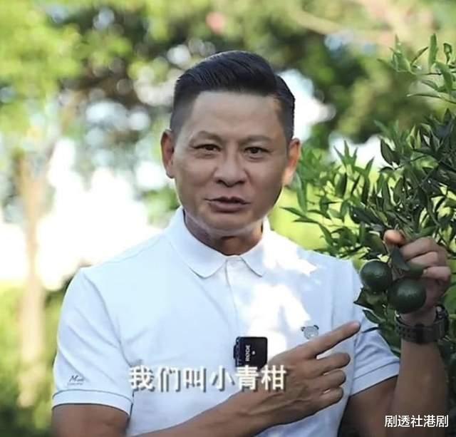 TVB|TVB著名绿叶成隐形富豪，在内地开果园，每年产量高达160万斤