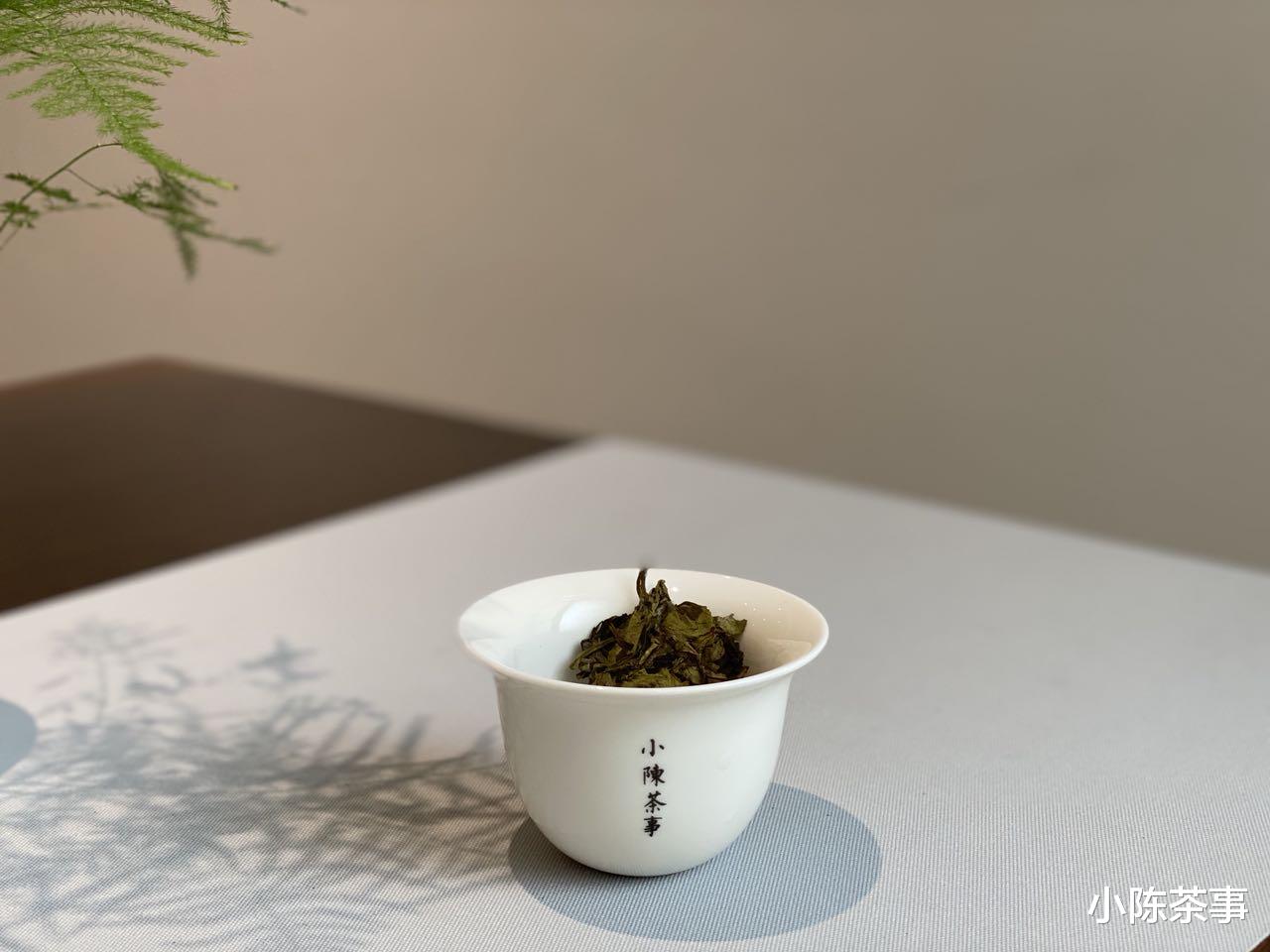 小陈茶事 粗枝大叶的老白茶、普洱、黑茶、岩茶耐泡，洗茶两遍也不会浪费？