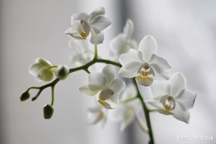 生命不止折腾不休|就你俩这关系，开口借和开口要没区别