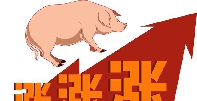 徐晓峰|一夜之间“猪全部消失”?猪价要破8,猪价涨得是不是过火了?