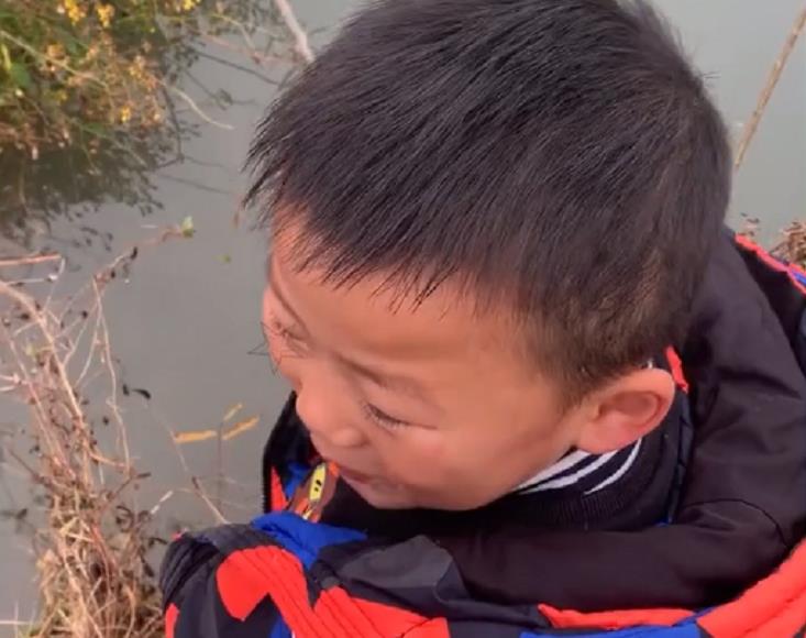 渔业|湖北一萌娃拿树枝当鱼竿，抛竿10秒后轻松钓上大鱼，网友评论亮了
