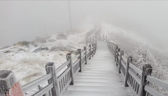 秦岭 陕西秦岭藏一山脉，刚到夏天突然下雪，让人猝不及防，游客也郁闷