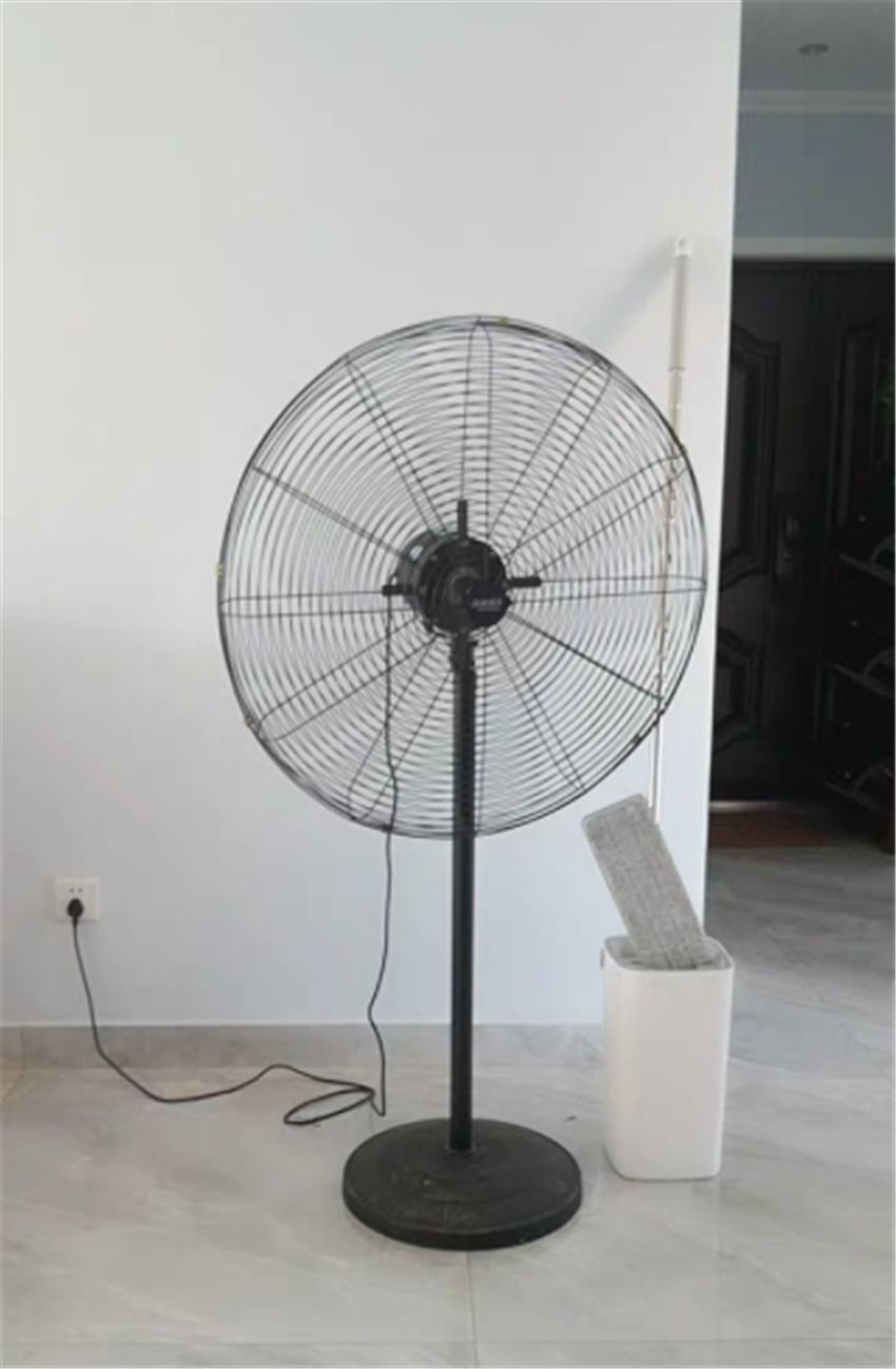 为何说新房除甲醛是在交智商税？听完专人分析，才懂自己做错了