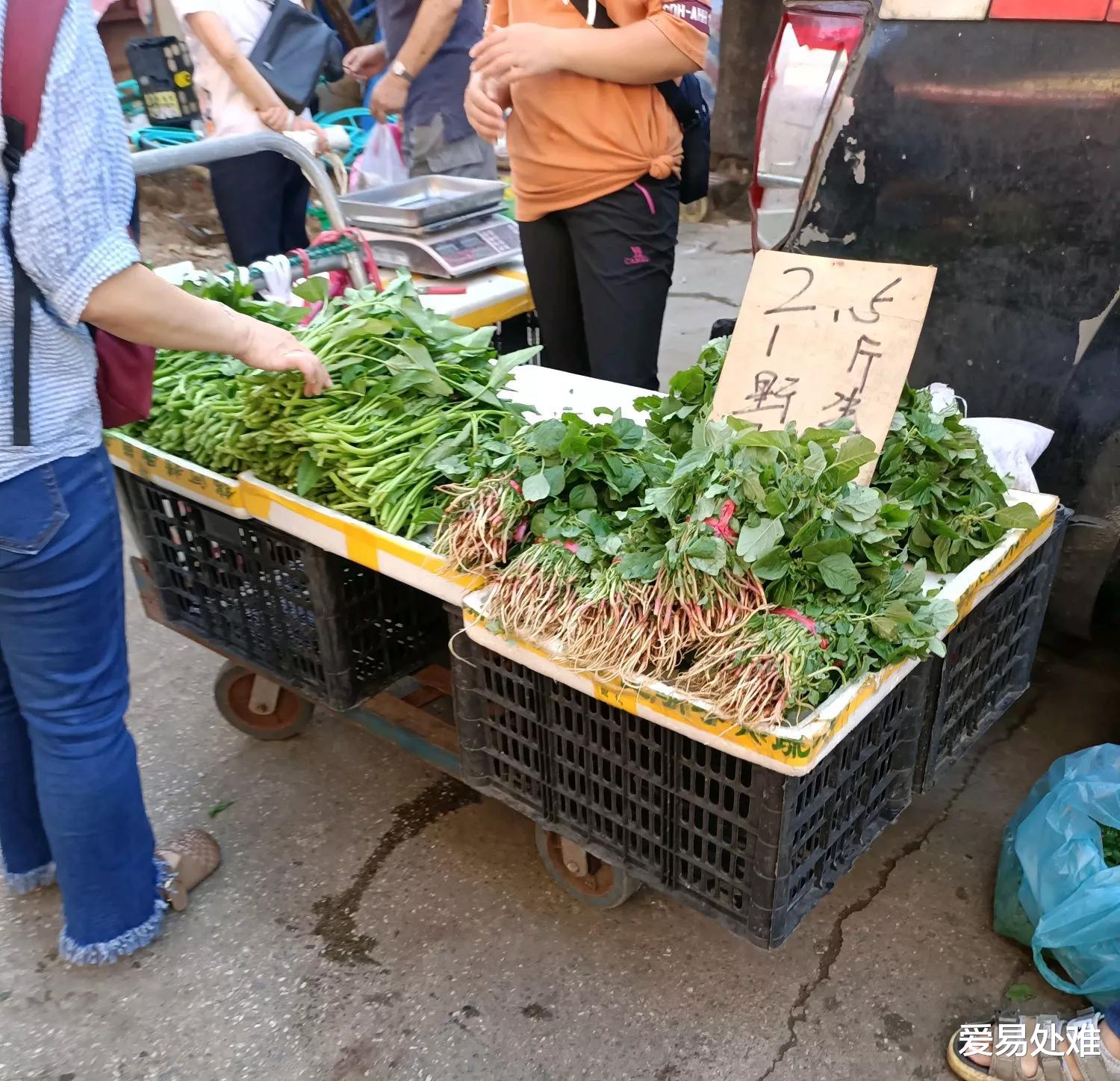 表嫂“失踪”10天,表哥报警后,警察抓走了邻村50岁的光棍