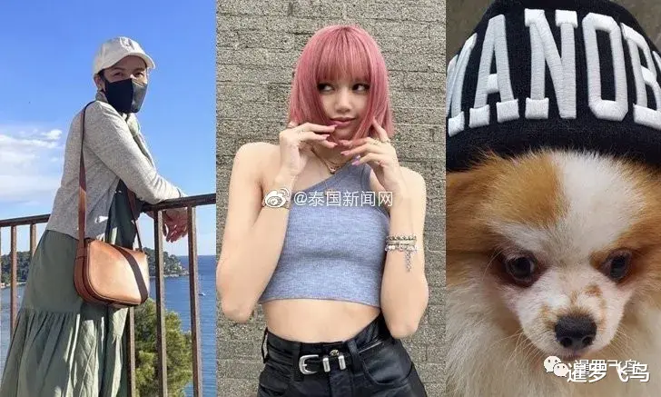 泰国|Lisa接种疫苗后依旧感染新冠，冲上全球热搜第一，泰国总理祝康复