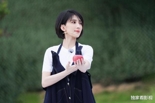 戴佩妮|戴佩妮43岁似少女，因一首歌火遍亚洲，5获金曲奖却错过生育年龄