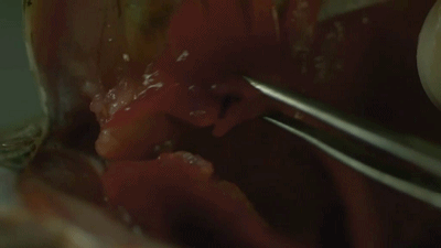 交易 四场大C度交易，这片告诉你什么是爱！