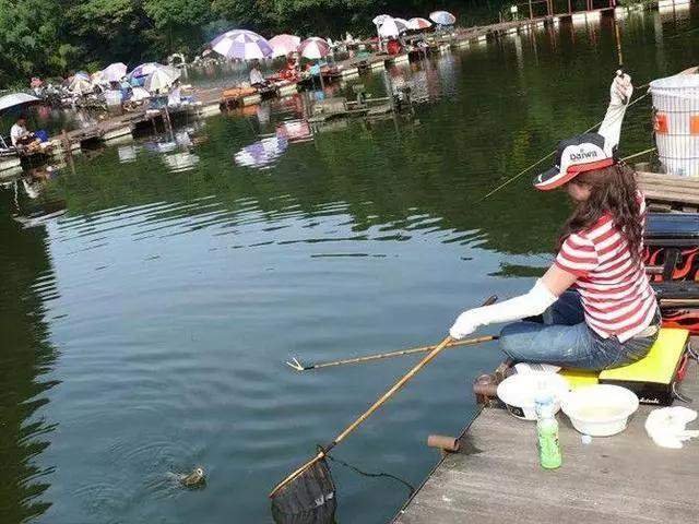 鲫鱼|新人入手并继竿，这几个非专业的入门级建议，可一定要先看看