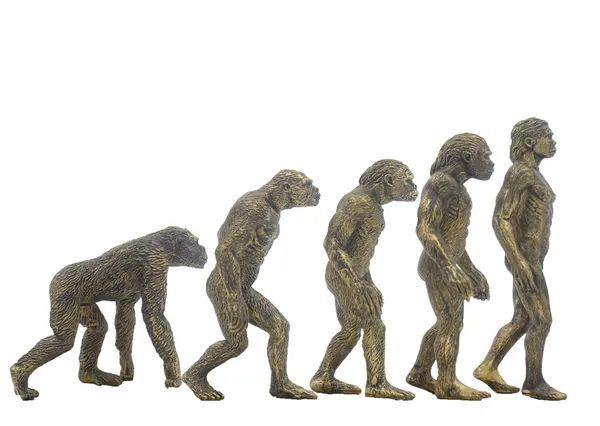 人类的起源 人类的起源到底是怎样的？真的是由猿进化而来的吗？本文给你揭秘