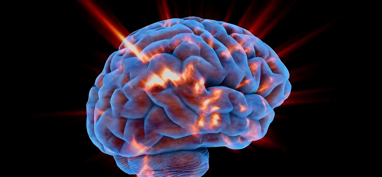 基因 地球与人类的前世今生,以及未来,你了解吗?