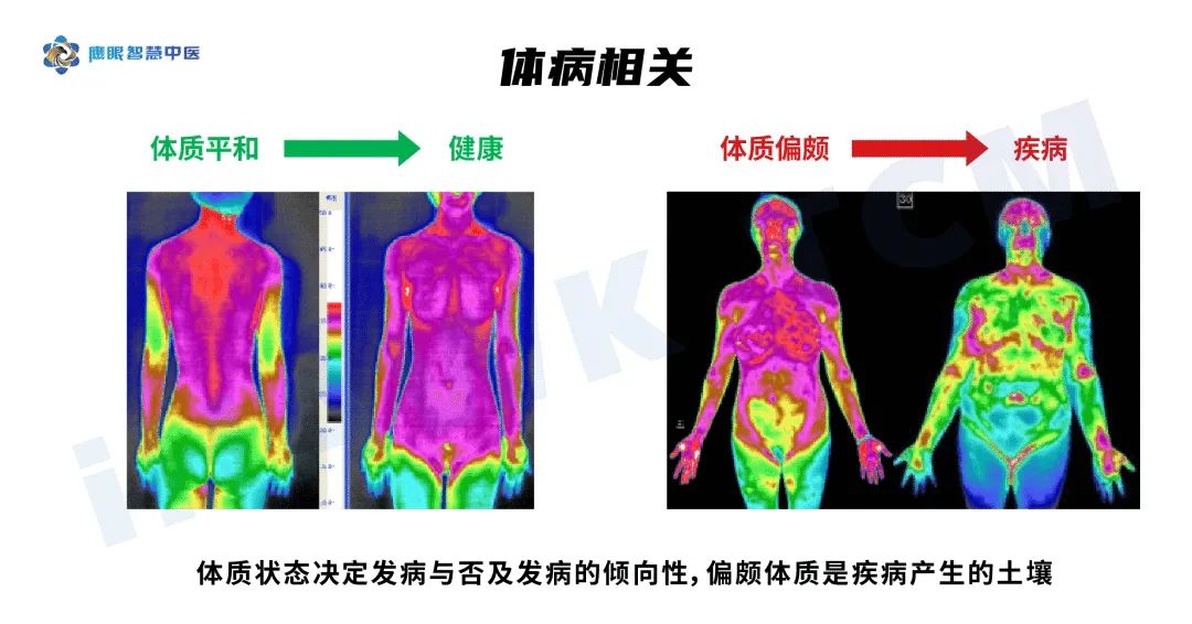 南瓜|九种体质之“阴虚”| 皮肤干燥、失眠、经常口腔溃疡是什么原因？如何调养？