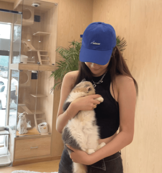 吴亦凡|吴亦凡这次凉透了！24名女孩纷纷发声实锤，竟还有3名“未成年”