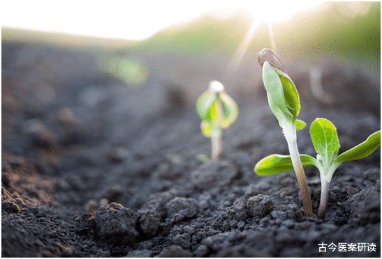 瓜子|瓜子是“高血糖”加速器？医生：血糖若想稳，“2黄1紫”少碰