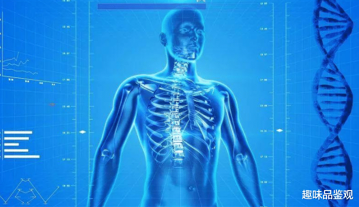 格雷 如果细胞能不断修复，人类寿命会增加到1000岁？该技术能实现吗？