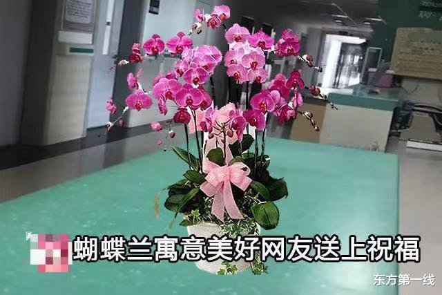 东方第一线 老人向护士站借花,只为给住院的妻子看,老人:希望她开心点