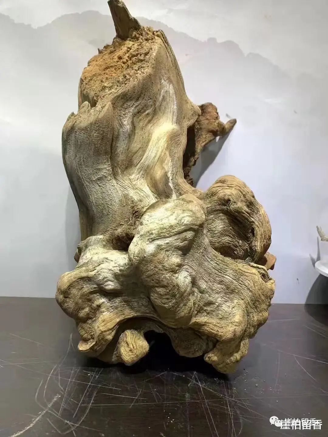 设计师|太行崖柏玩久了你能得到什么呢?