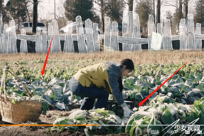 赵丽颖|赵丽颖下班后去农场摘菜，细看她的蹲姿，是否作秀一目了然