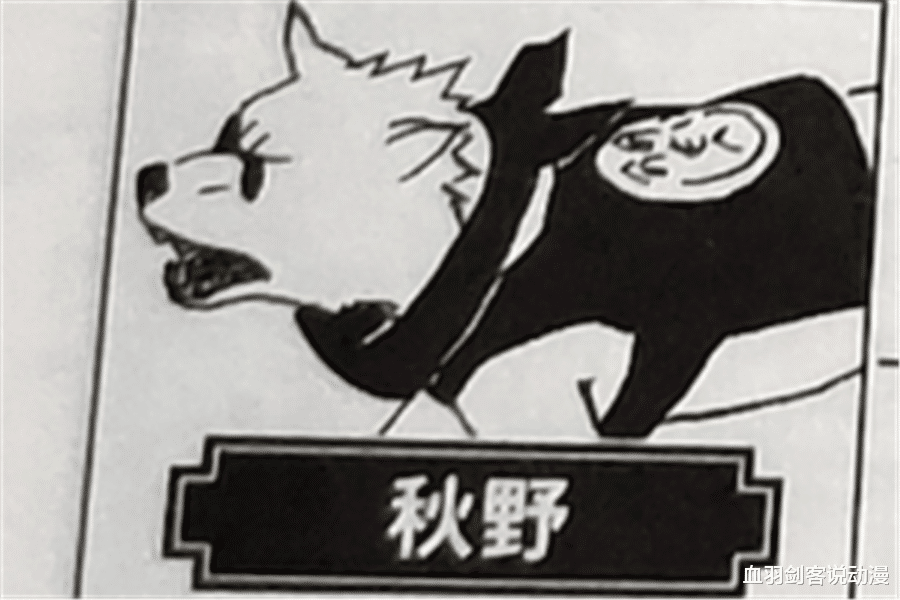 布鲁|卡卡西的八忍犬都叫什么名字？帕克让小樱抓狂，阿基诺时刻戴墨镜