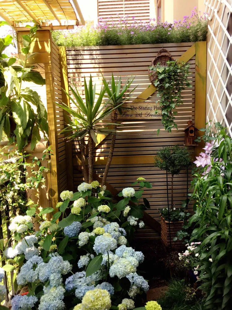 30㎡阳台改造的植物花园,网友直呼:这是我见过最美的阳台花园